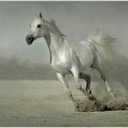 سسراب (@9mt_1999) Twitter
