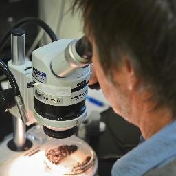 Directly connecting sustainable research to the community and the world.
Joining UCSB researchers & scientists together to solve critical environmental issues.