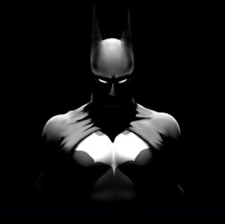 Millonaire C.E.O by day. Caped Crusader by night. I am Batman, the darkest hope of the world, I fight for what is right. Beware Crime. #Single #RP
