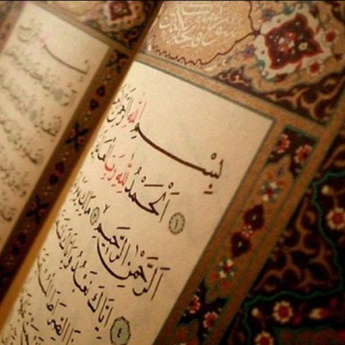 رطبوا السنتكم بذكر الله♡ ألا بذكر الله تطمئن القلوب♡ صدقة جارية
