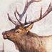 Rustic Roasters (@rusticroaster) Twitter profile photo