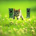 tyler grube - @tyg212 - Twitter