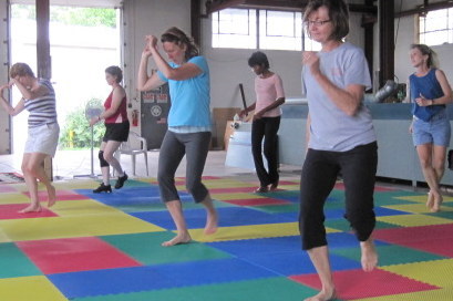 Nia instructor, Reiki 3 Practitioner, will bring wellness programs to your business or group. Columbus, Ohio area
