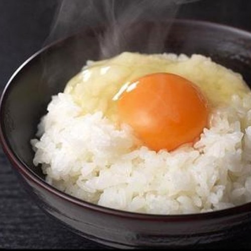 卵として生きてゆく