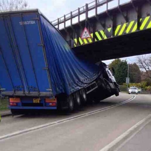 Iannotts1's profile picture. single and looking to have some fun and who knows where it will go from there... sorry won’t follow or use OF pages..