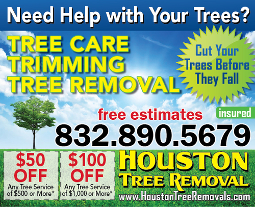 Our tree professionals can help with all your tree service needs. Call us today for a fast affordable free quote. 832-890-5679
