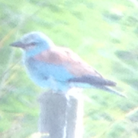 Christopher P Baker (@chrispbak) 's Twitter Profile