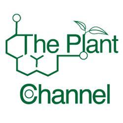 The Plant Channel Online Network showcases educational and entertaining content centered on the infamous cannabis plant to people worldwide.