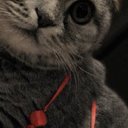 Оксана Ефимова (@007Axleks1968) Twitter