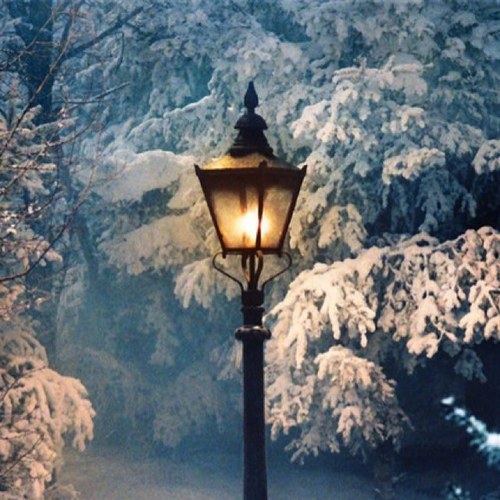 actual_lampost's profile picture. I light up all of Narnia
