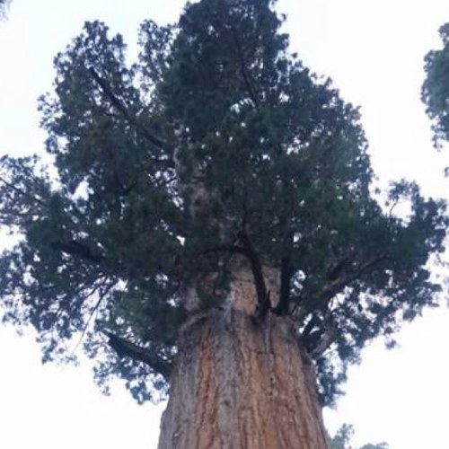 kotaro_la's profile picture. 