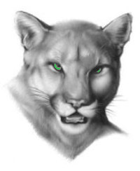 Canton_Cougars's profile picture. We are Canton. We all believe. We will all succeed!