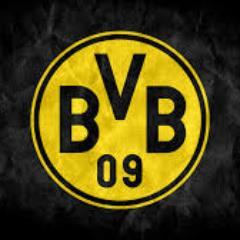 I Support Dortmund And I Love To Watch The Walking Dead And Breaking Bad, Also I Love Dubstep ,Trap, Rap, DnB. Also I Love Gaming, Cod, Fifa, GTA, AC, Titanfall