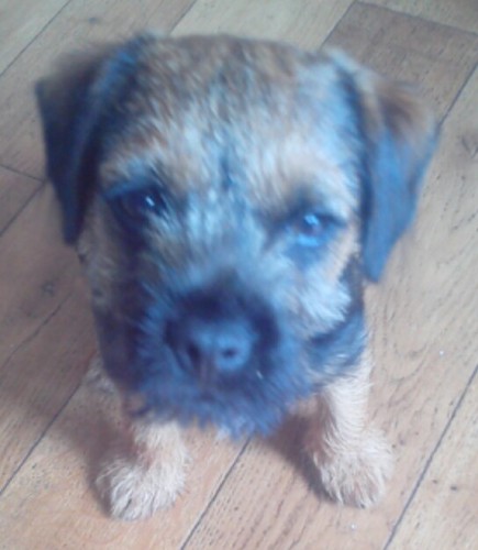 YahooPaddy's profile picture. 