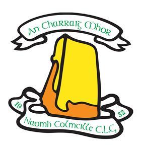 Carrickmore gaa Profile