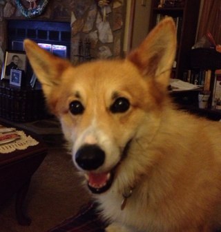 leah_chapin's profile picture. 