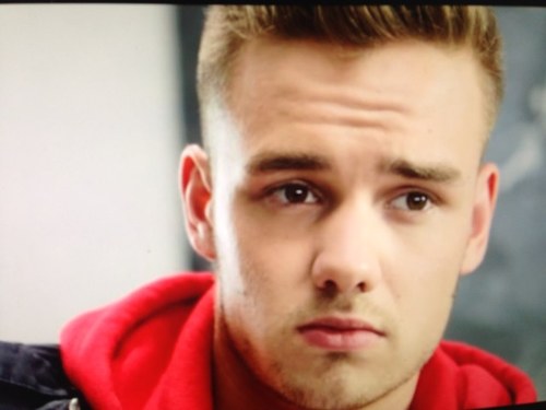 I love all the boys so much!(: Help me get noticed by Liam and i promise i will help you do something!(: