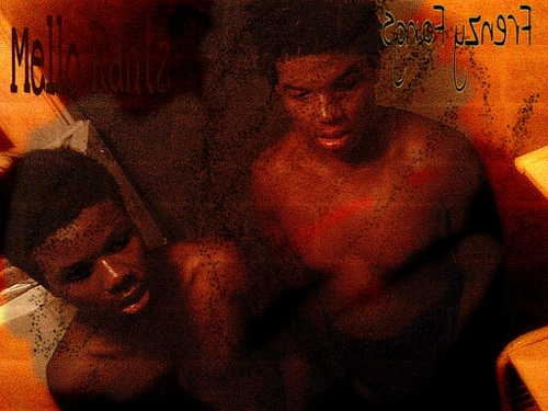 DGBK (Wild Wolf 1 coming soon)