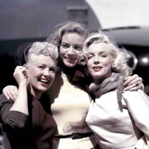 petproject1's profile picture. 