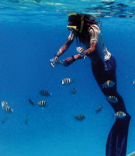 ClimateandReefs's profile picture. Sharing information, expertise and experiences for better management of coral reefs in a changing climate.