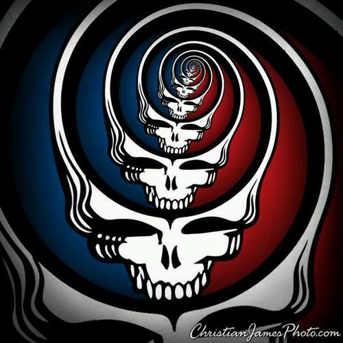 bass player, drummer, Dead Head, hot rodder, rock and roller! ...not necessarily in that order! ☮