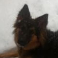 fectin Profile Picture
