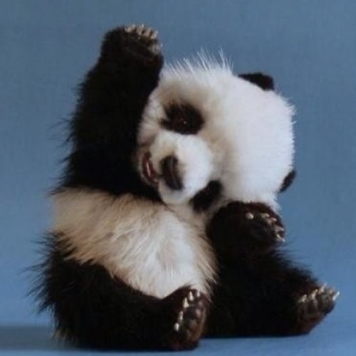 TheDrSwag's profile picture. Hey, I got swag, I listen to heavy metal music and enjoy it