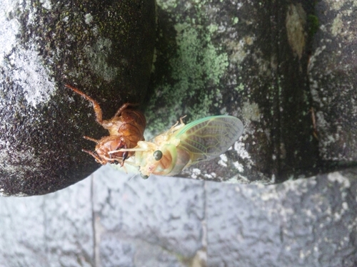 masudaa13's profile picture. 何となくつぶやく。