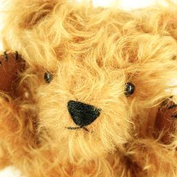Teddy Bear Menagerie - A place for something whimsy