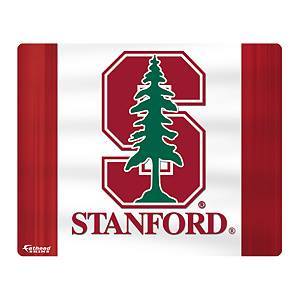 Stanford Athletics Fan (primarily football), alumnus, semi-active twitter account #stanford #gostanford #fearthetree #antiNCAA
