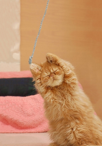 poeshoooo's profile picture. 