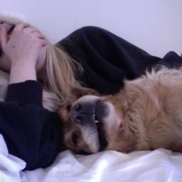 west scranton/ freshman/ i love my dog browser/ high life