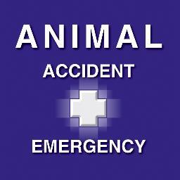 #Animal #Accident & #Emergency 
24 Hour #Veterinary #Centre
Essendon Fields PH: (03) 9379 0700
Point Cook PH: (03) 8368 7400