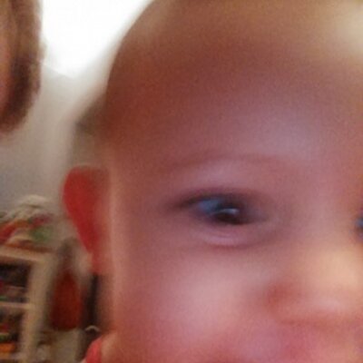 Dani Heifetz on Twitter