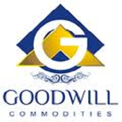 we are a truly dynamic and visionary commodity brokerage firm and a trusted name in commodity trading.
