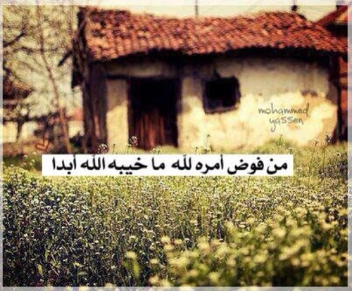 ♥كرز ♥