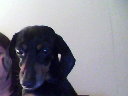 noreenpav's profile picture. 