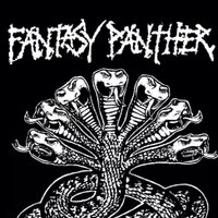 Fantasy Panther (@fantasy_panther) 's Twitter Profile