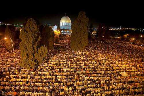 free palestine 🇵🇸