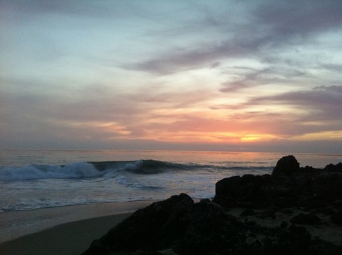 suecoocadoo's profile picture. 