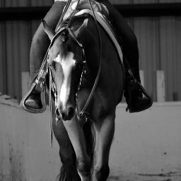 Loving every second of life as an equestrian.
