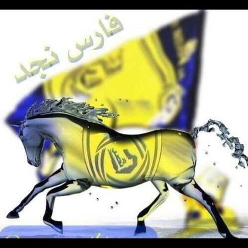 مملكتي هي 
المملكة العربية النصراوية
نادي النصر السعودي
ماجد عبدالله - الاسطورة 9
فهد الهريفي - موسيقار 8
حبيت طلال مداح يوم قال
احبك يا نصر والله احبك