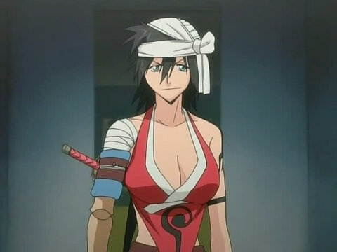 is the leader of the Shiba clan. She is the sister of Ganju and late Kaien Shiba as well as a personal friend of Yoruichi Shihōin. #Shiba