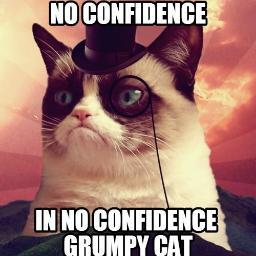No Confidence in No Confidence Grumpy Cat! Let the @AUSAStudents elections stand!