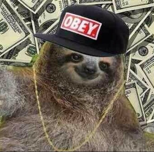 WE HAVE SWAG
Follow back promise