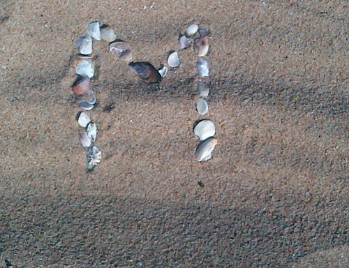 Flowers123456's profile picture. 