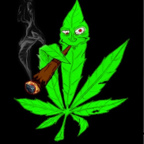 Keep smoking that good kush. If i follow u then that means that u ARE a stoner, or you should be. So follow back and let my tweets entertain you high bitches(;