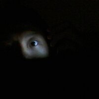 Roy (@liucidentertain) 's Twitter Profile