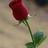 1407Aljabry's profile image