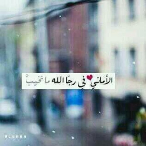 رحم الله ملامح لاتغيب عن البال وحديث أشتقت لسماعه رحم الله جسدا تحت الثرى لايفارقني الحنين إليه أبدا #أمي